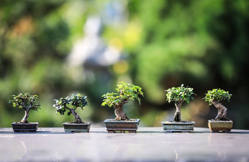 Gardening Class