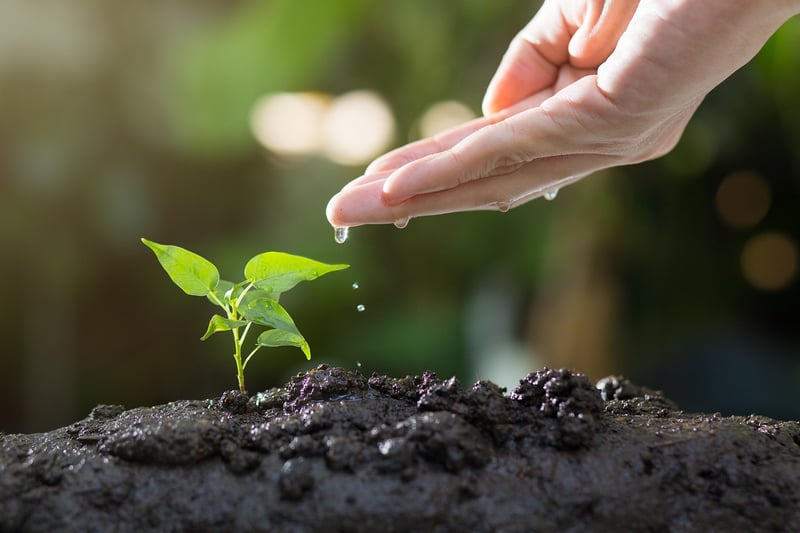 Gardening Workshop