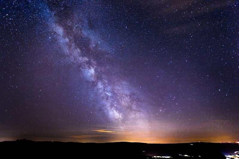 Plants under the Milky Way